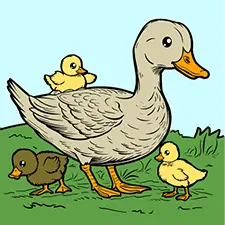 Duck Family Coloring Page Color