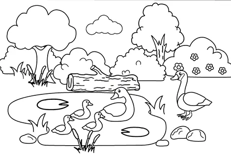 Duck Family Coloring Page Black & White