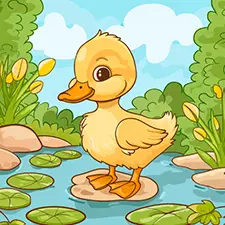 Duckling In The River Coloring Page Color