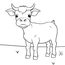 Easy Cow Coloring Page Black & White