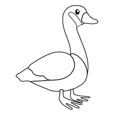 Easy Goose Coloring Page