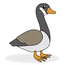 Easy Goose Coloring Page Color