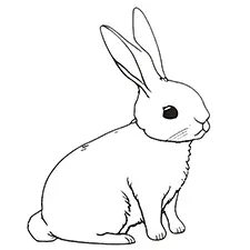 Easy Rabbit Coloring Page Black & White