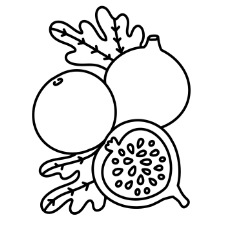 Fig Coloring Page