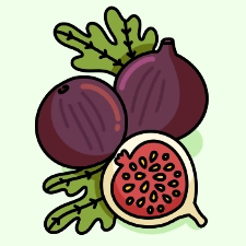 Fig Coloring Page