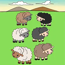 Flock Of Sheep Coloring Page