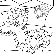 Flock Of Turkeys Coloring Page Black & White