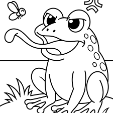 Frog Trying To Catch A Fly Coloring Page