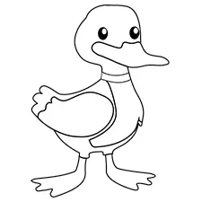 Green Brown Duck Coloring Page