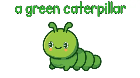 A Green Caterpillar Coloring Page
