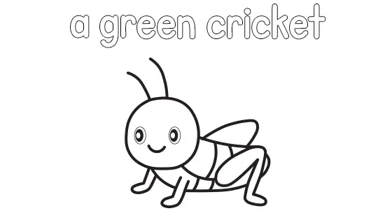 A Green Cricket Coloring Page