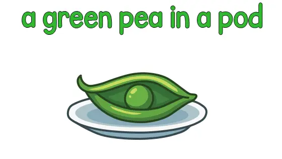 A Green Pea in a Pod Coloring Page