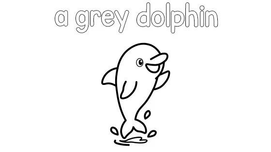 A Grey Dolphin Coloring Page