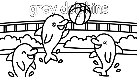 Grey Dolphins Coloring Page