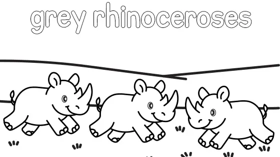 Grey Rhinoceroses Coloring Page