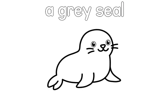 A Grey Seal Coloring Page