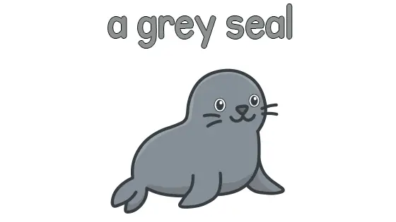 A Grey Seal Printable