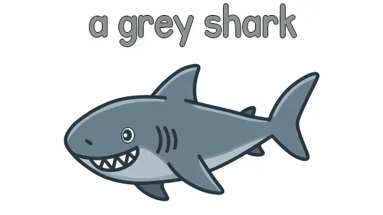 A Grey Shark Printable