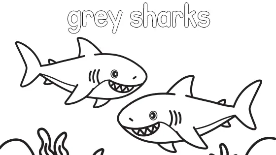 Grey Sharks Coloring Page