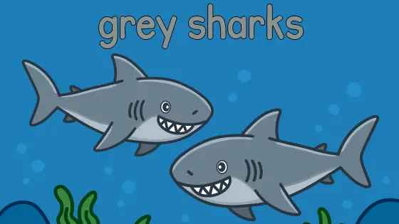 Grey Sharks Printable