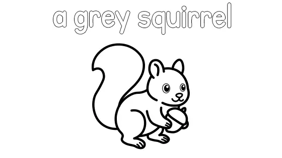 A Grey Squirrel Coloring Page