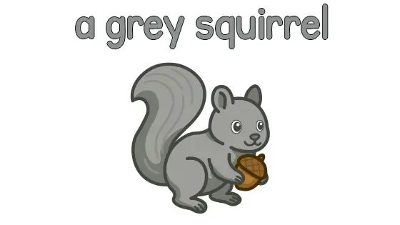 A Grey Squirrel Printable