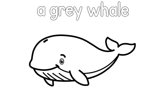 A Grey Whale Coloring Page