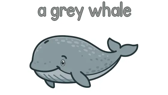A Grey Whale Printable