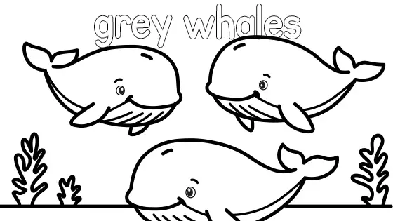Grey Whales Coloring Page