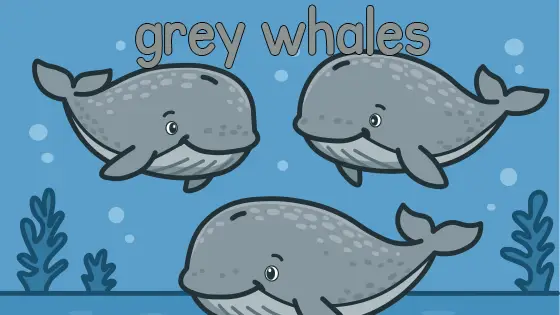 Grey Whales Printable