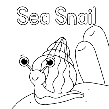 Happy SeaSnail Coloring Page