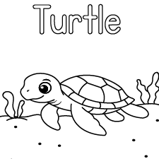 Happy Turtle Coloring Page