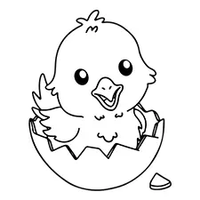 Hatching Baby Chick Coloring Page Black & White