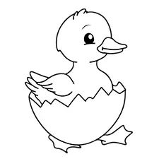 Hatching Baby Duck Coloring Page Black & White
