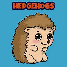 Hedgehog Coloring Page For Kids