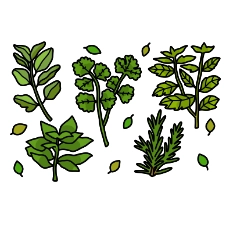 Herbs Coloring Page