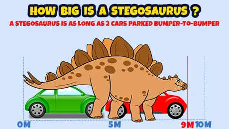  how big is a stegosaurus
