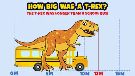 How big was a T-Rex? A T-Rex was longer than a school bus