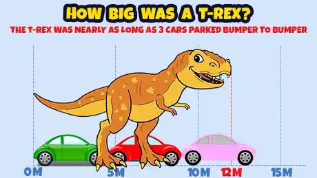 How big was a Tyrannosaurus Rex? A Tyrannosaurus Rex was nearly as long as three cars parked bumper to bumper.