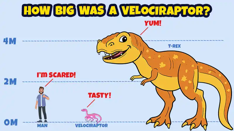  How Big Was A Verlociraptor - Diagram comparing the size of a velociraptor vs a t-rex vs a human