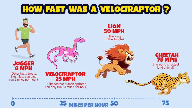 How fast was a velociraptor? An image comparing the top speed of a Cheetah, a Lion, a Velociraptor and a Jogger