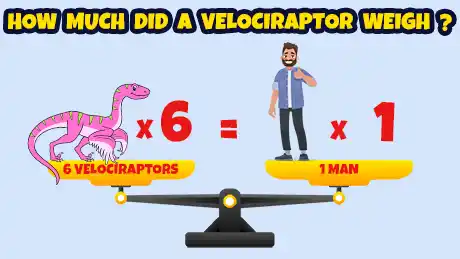 Velociraptor vs. Man Weight Comparison