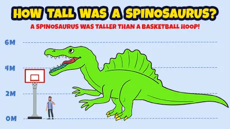 how tall is a spinosaurus