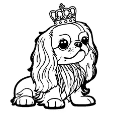 King Charles Spaniel Coloring Page Black & White