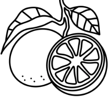 Kumquat Coloring Page