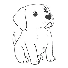 Labrador Coloring Page Black & White