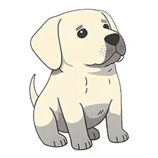 Labrador Coloring Page Color