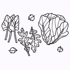 Leafy Greens Coloring Page