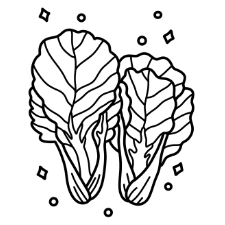 Lettuce Coloring Page