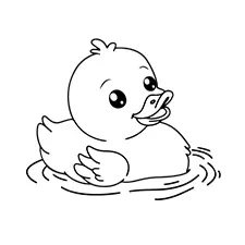 Little Duck Swimming Coloring Page Black & White